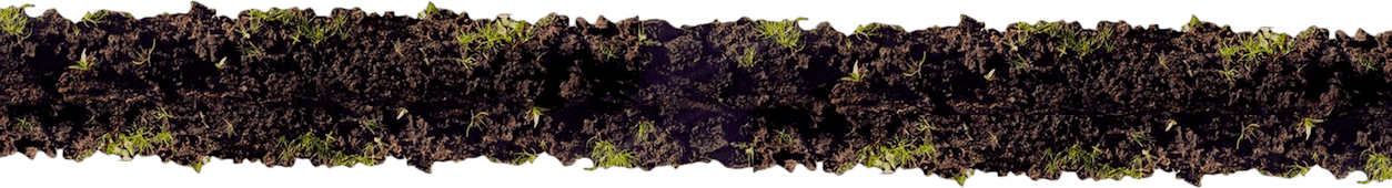 Dirt Border for Content Gallery